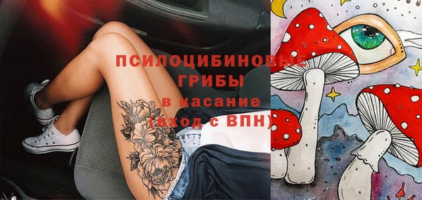 ГАЛЛЮЦИНОГЕННЫЕ ГРИБЫ Куйбышев