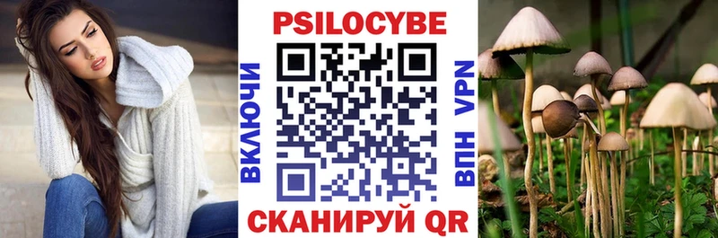 Купить  Железногорск  Галлюциногенные грибы Psilocybe